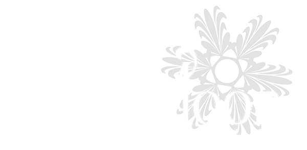 SnowMoon Photography